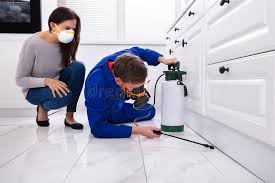 Best Organic or Eco-Friendly Pest Control  in Philomath, OR