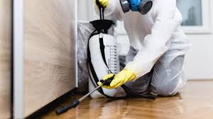 Best Termite Inspection and Treatment  in Philomath, OR